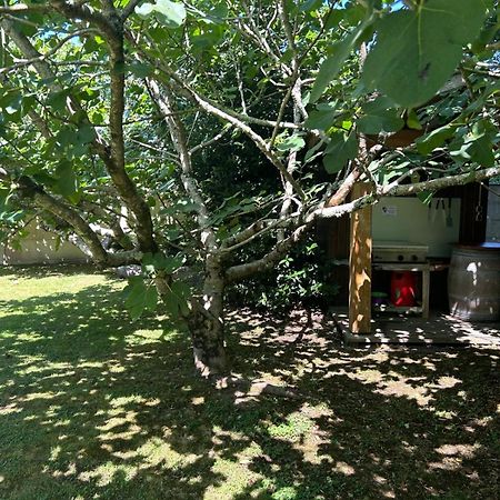 Jolie Maison Le Teich Bassin Park/Wifi Eksteriør billede