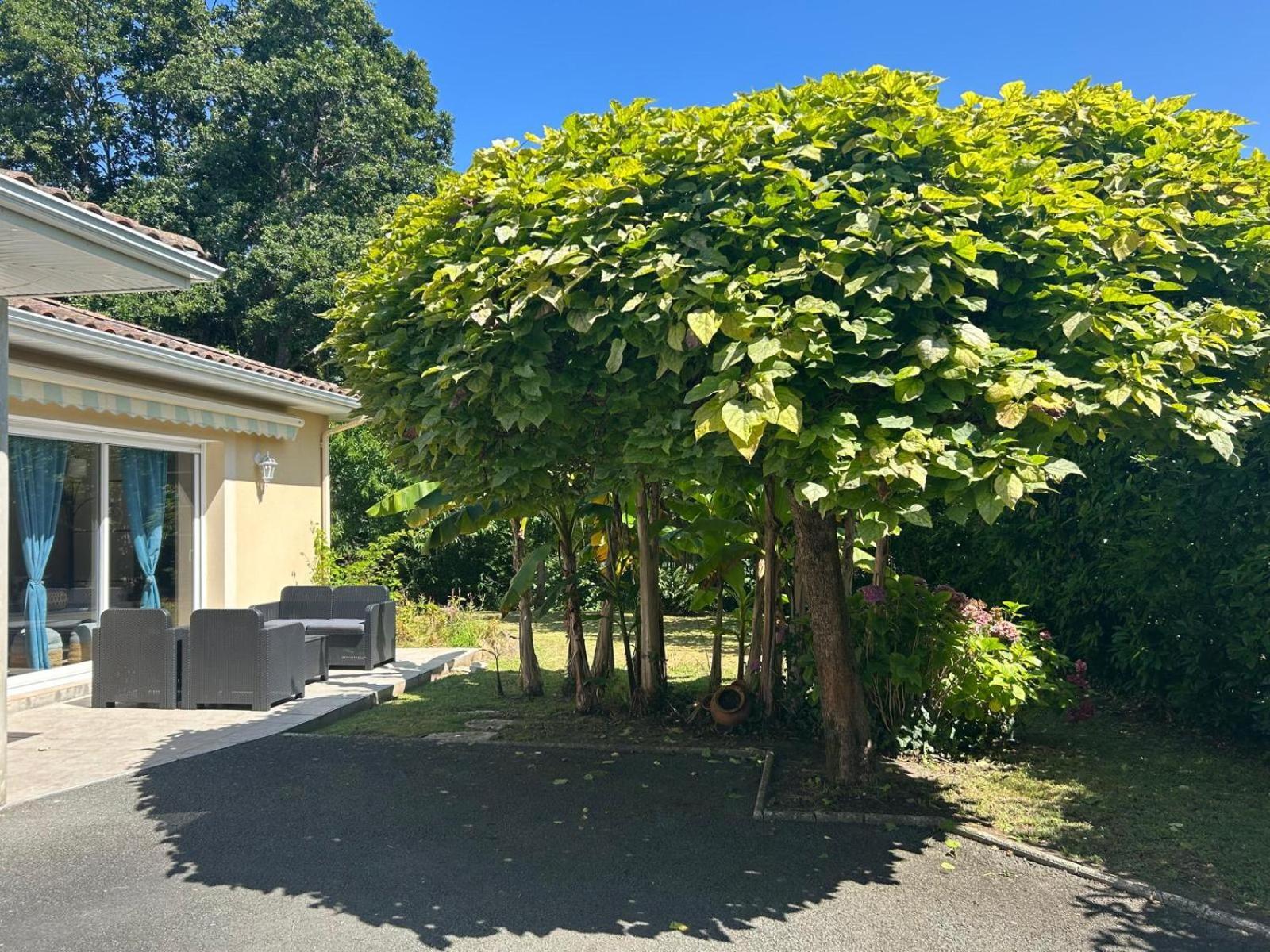 Jolie Maison Le Teich Bassin Park/Wifi Eksteriør billede
