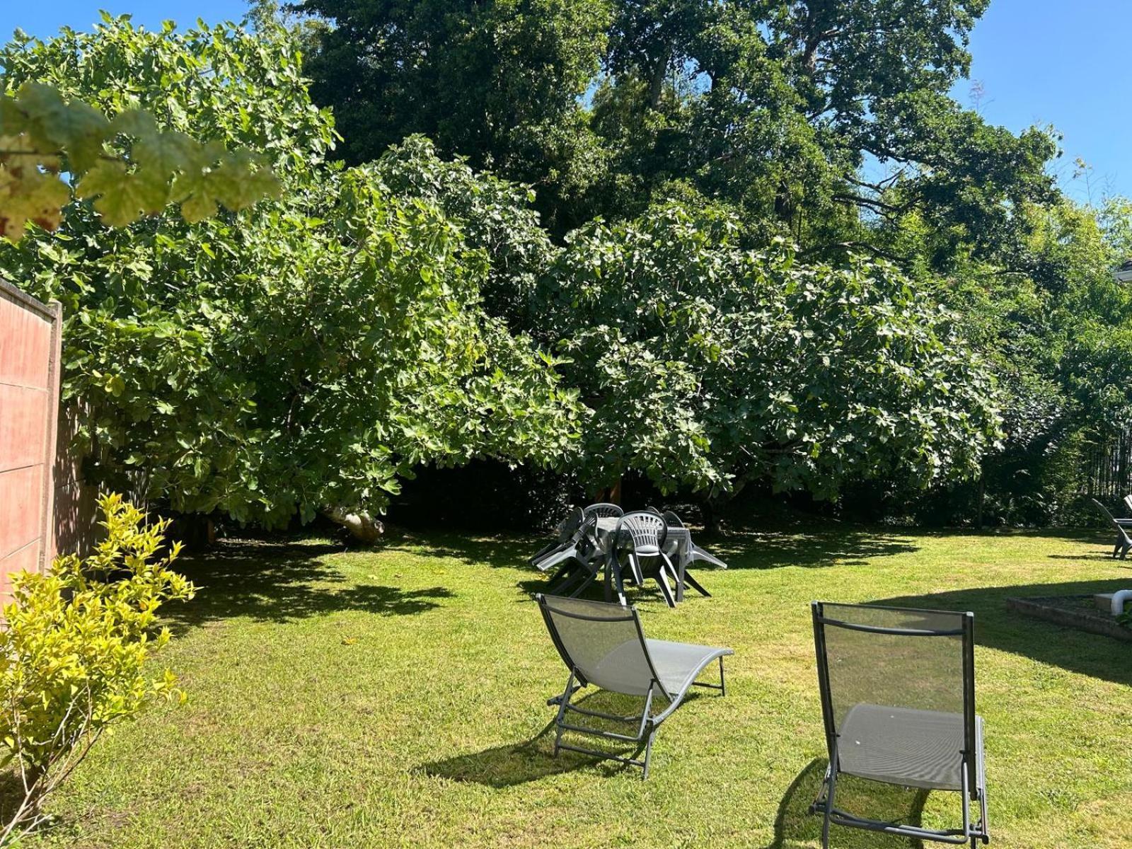 Jolie Maison Le Teich Bassin Park/Wifi Eksteriør billede