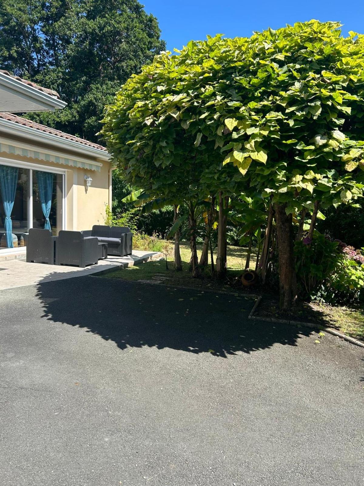 Jolie Maison Le Teich Bassin Park/Wifi Eksteriør billede