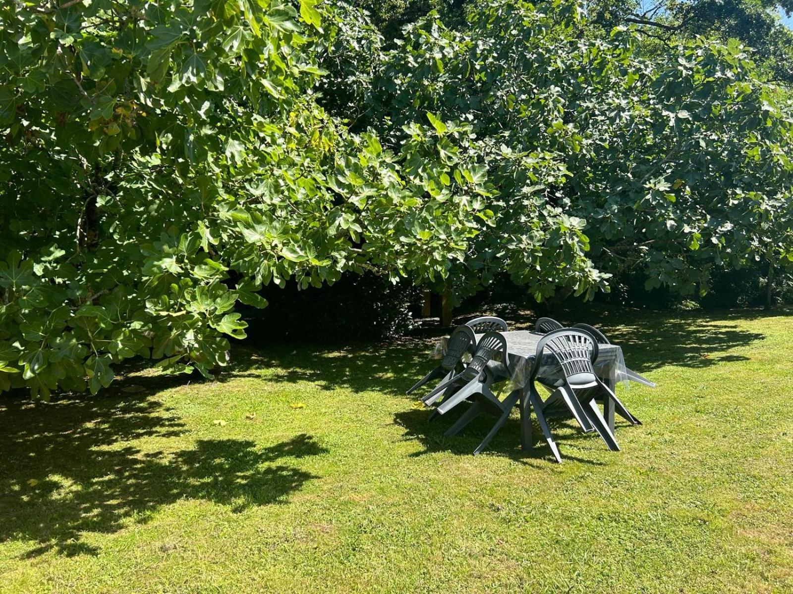 Jolie Maison Le Teich Bassin Park/Wifi Eksteriør billede